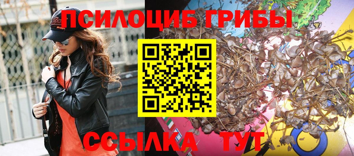 Малгобек  Псилоцибиновые грибы MAGIC MUSHROOMS  Галлюциногенные грибы Psilocybine cubensis  Вход с VPN 
